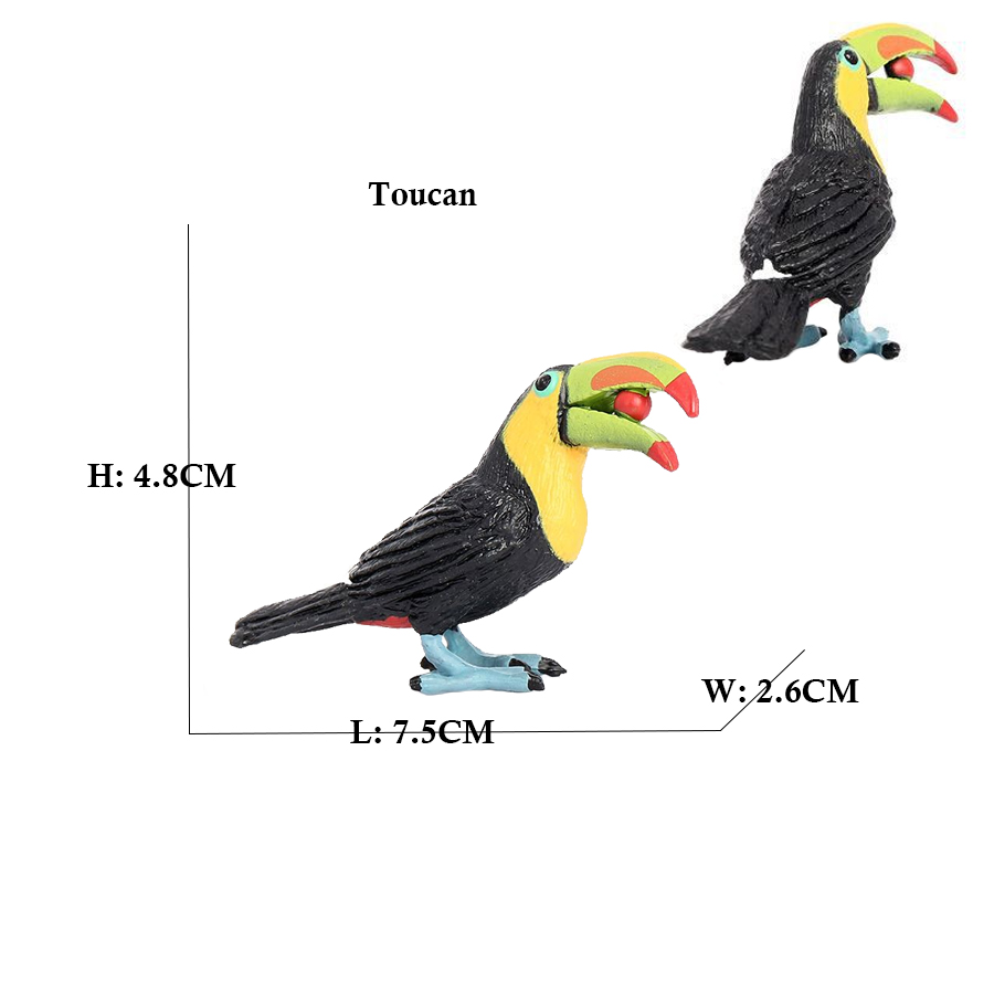 Owl Flamingo Turkey Toucan Sea - Kids Toys Reviews ulasan dan harga