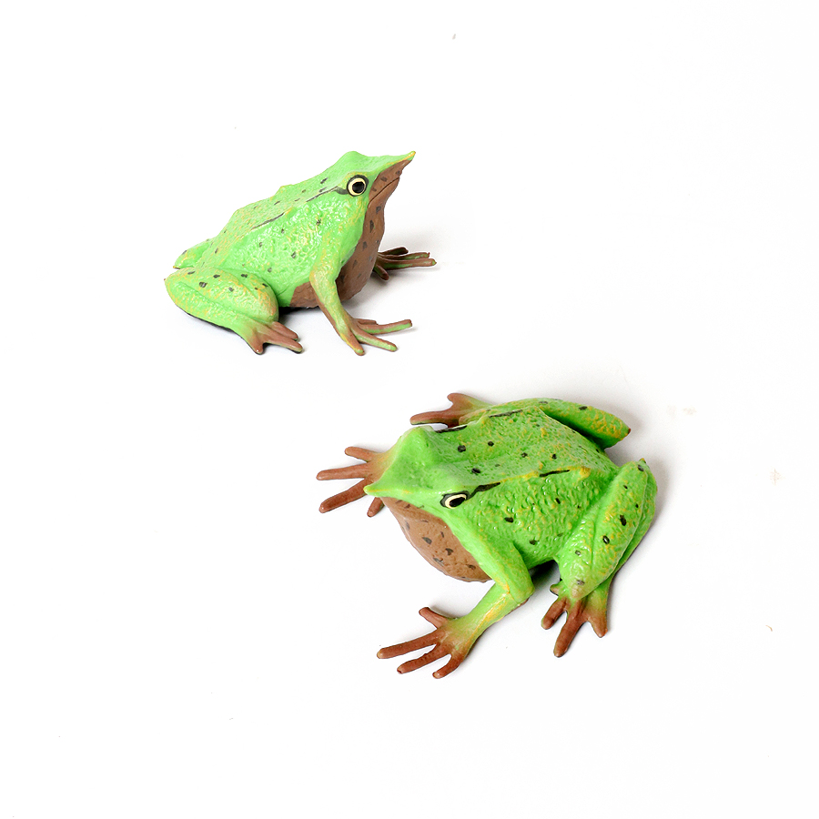 Rainforest Animals Frogs Figur - Kids Toys Reviews ulasan dan harga
