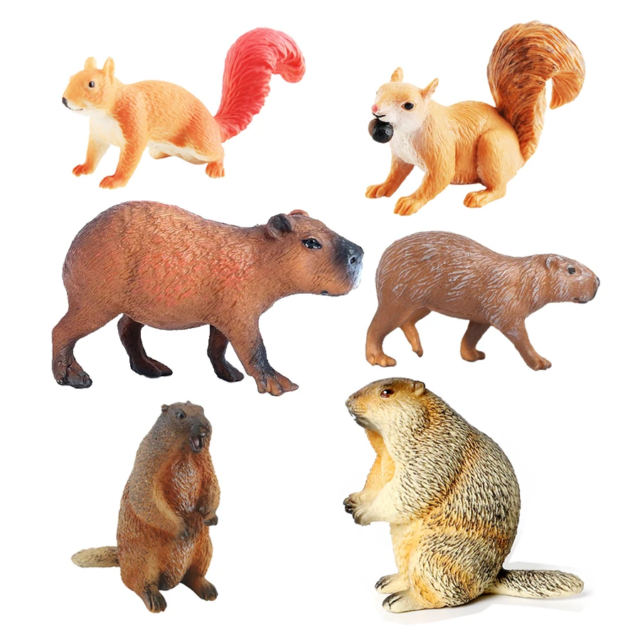 Capibara Capybaras Squirrel Ma - Kids Toys Reviews ulasan dan harga