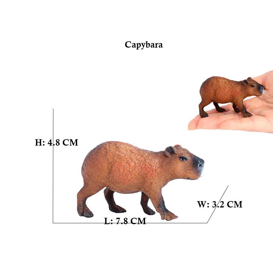 Capibara Capybaras Squirrel Ma - Kids Toys Reviews ulasan dan harga