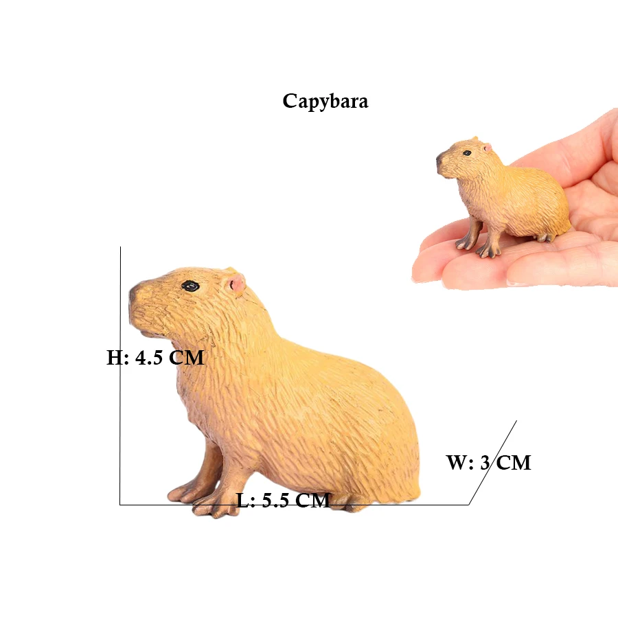 Capibara Capybaras Squirrel Ma - Kids Toys Reviews ulasan dan harga