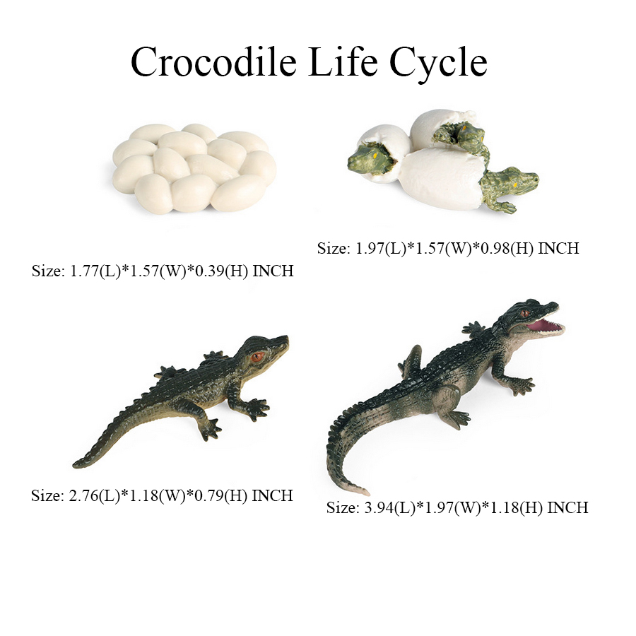 Toy of crocodile Figure Toys A - Kids Toys Reviews ulasan dan harga
